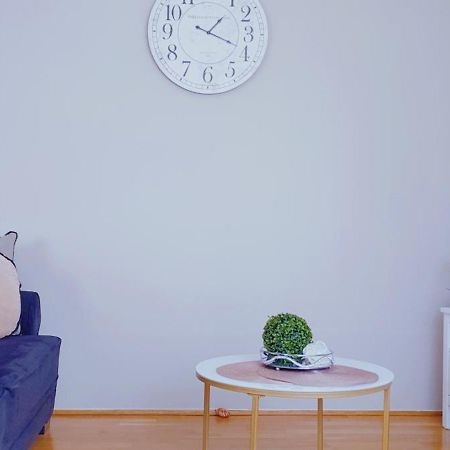 Cosmopolitan Apartament Z Bezplatnym, Prywatnym Parkingiem W Hali Garazowej Stary Toruń Εξωτερικό φωτογραφία